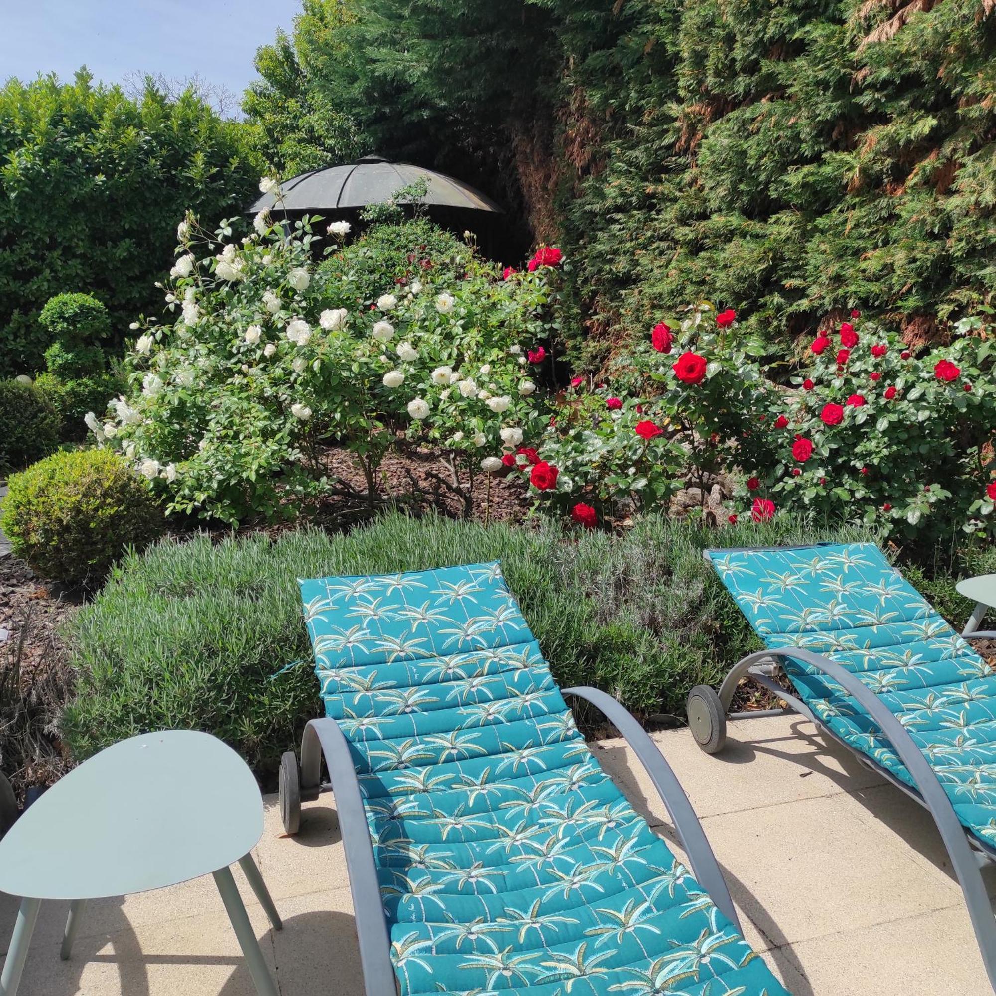 Villa Angel - Spa Caunes-Minervois Экстерьер фото
