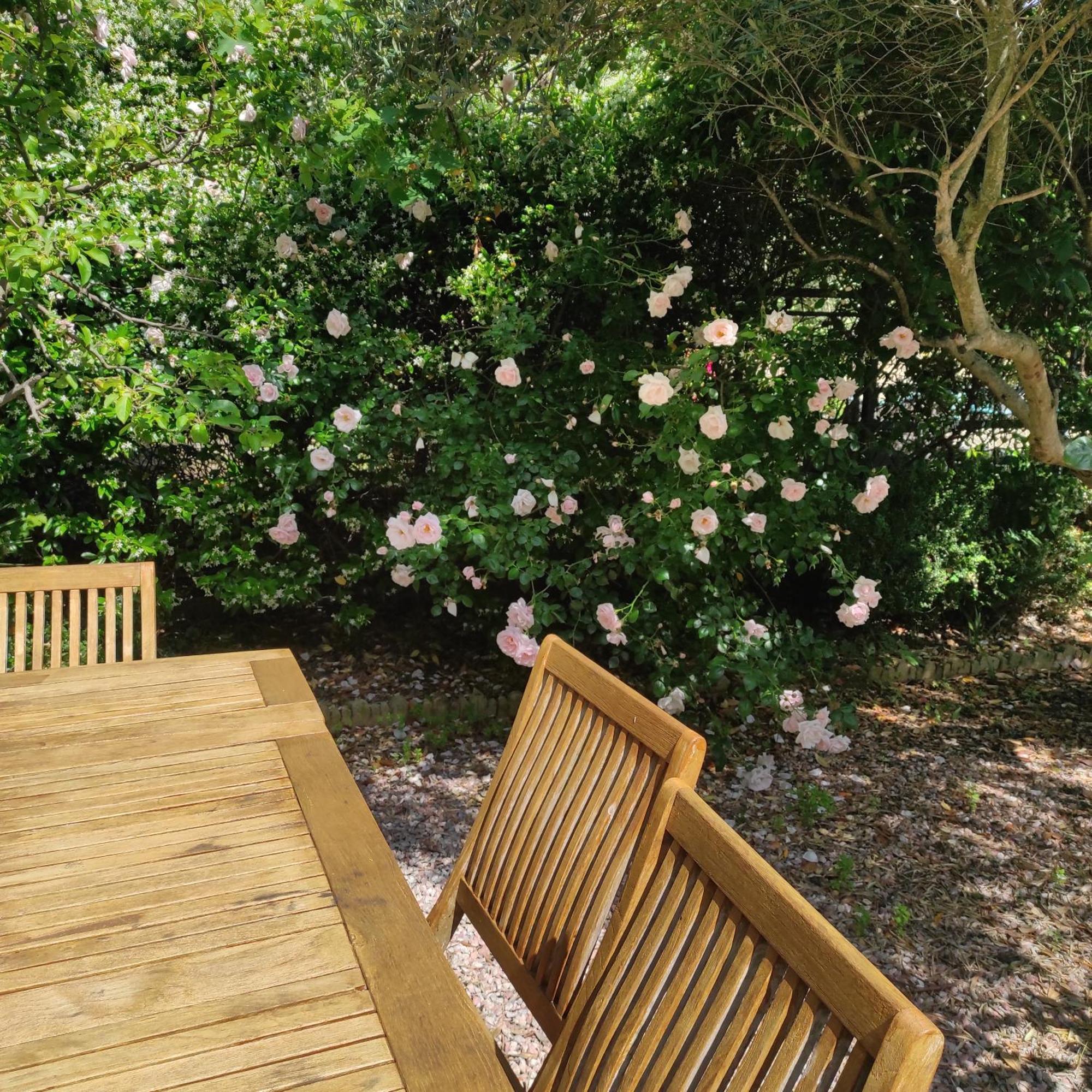 Villa Angel - Spa Caunes-Minervois Экстерьер фото