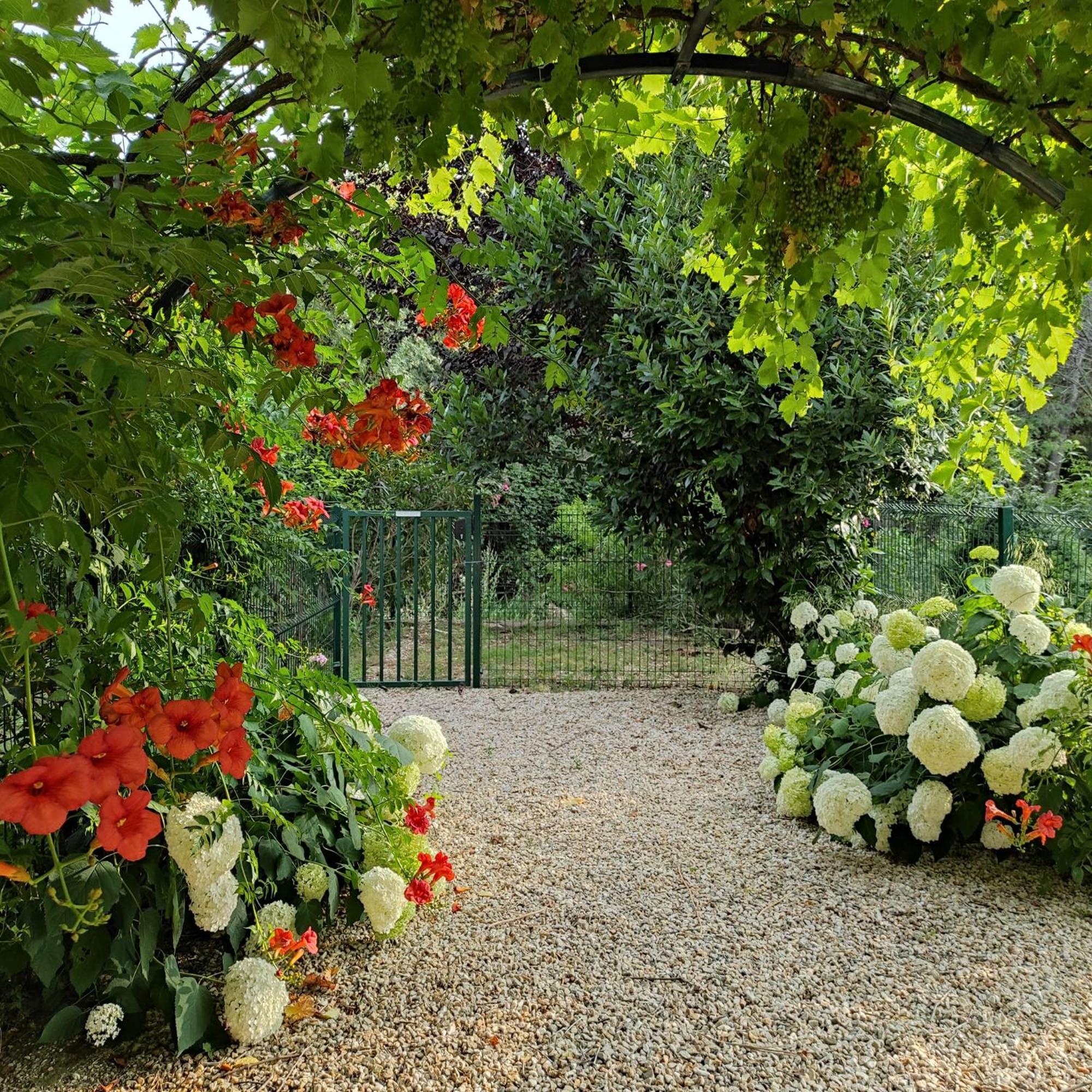 Villa Angel - Spa Caunes-Minervois Экстерьер фото