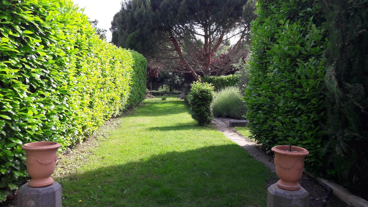 Villa Angel - Spa Caunes-Minervois Экстерьер фото