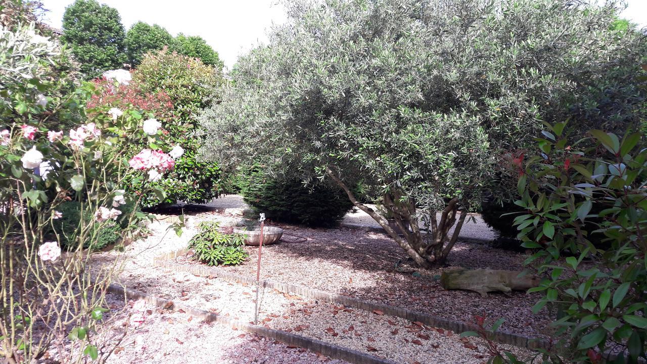 Villa Angel - Spa Caunes-Minervois Экстерьер фото